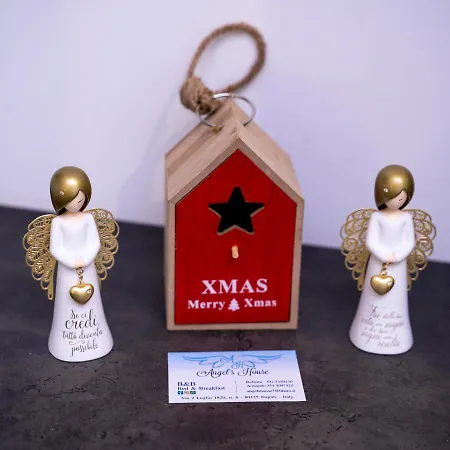 Angel's House